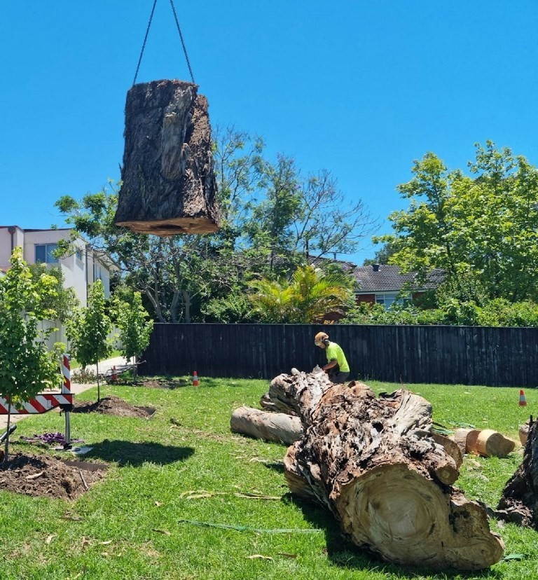 Stump grinding removal richland wa
